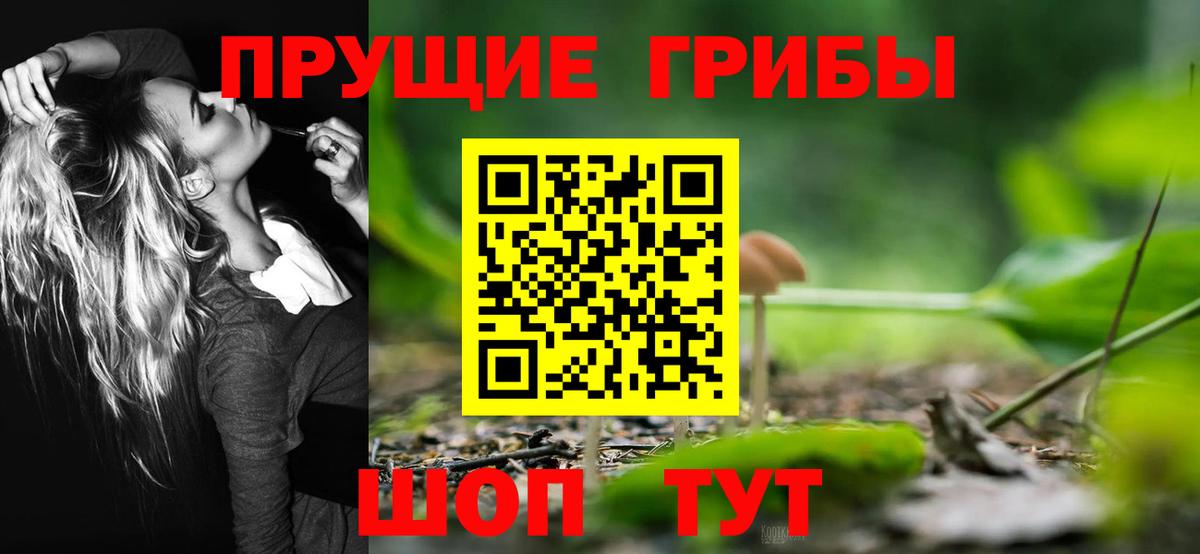 Изобильный  Псилоцибиновые грибы Cubensis  Вход с VPN  Галлюциногенные грибы Psilocybine cubensis 