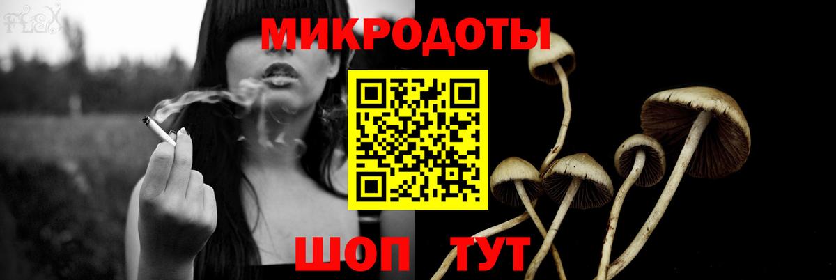 Псилоцибиновые грибы прущие грибы Изобильный
